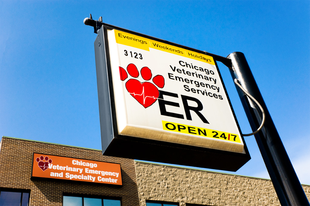 Veterinary hospital exterior sign and building